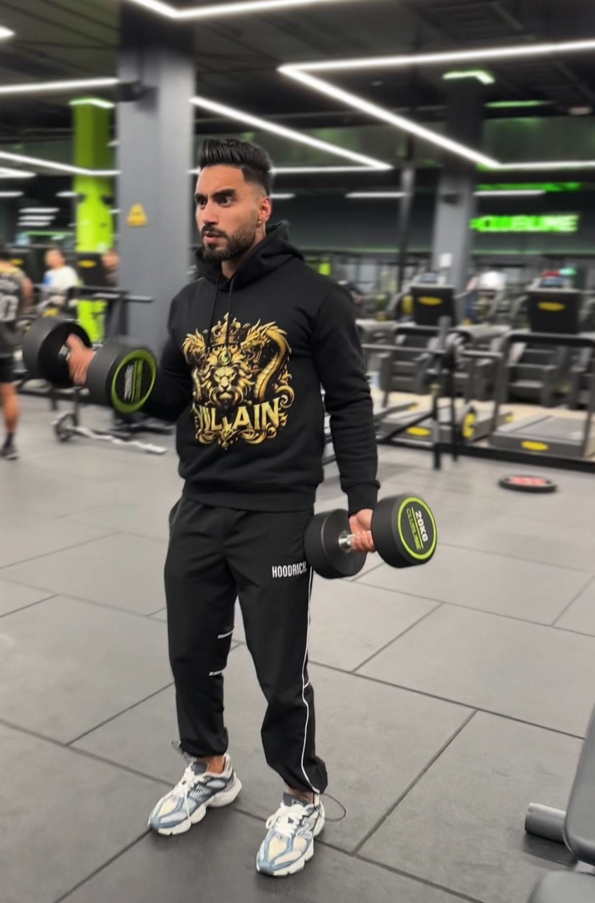 Lion & Dragon Crown Hoodie: Premium 100% Cotton 500GSM |  VILLAIN Store