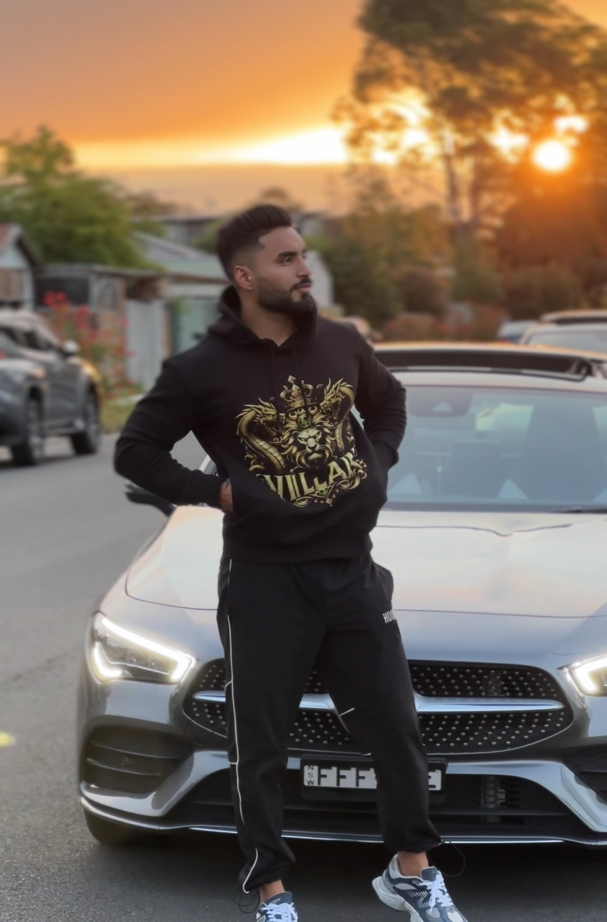 Lion & Dragon Crown Hoodie: Premium 100% Cotton 500GSM |  VILLAIN Store