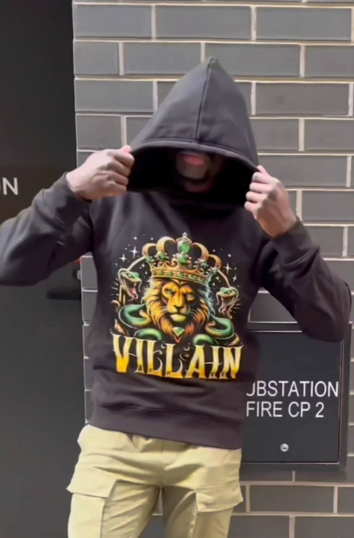 Lion & Serpent Crown Hoodie: Luxe 100% Cotton 500 GSM 