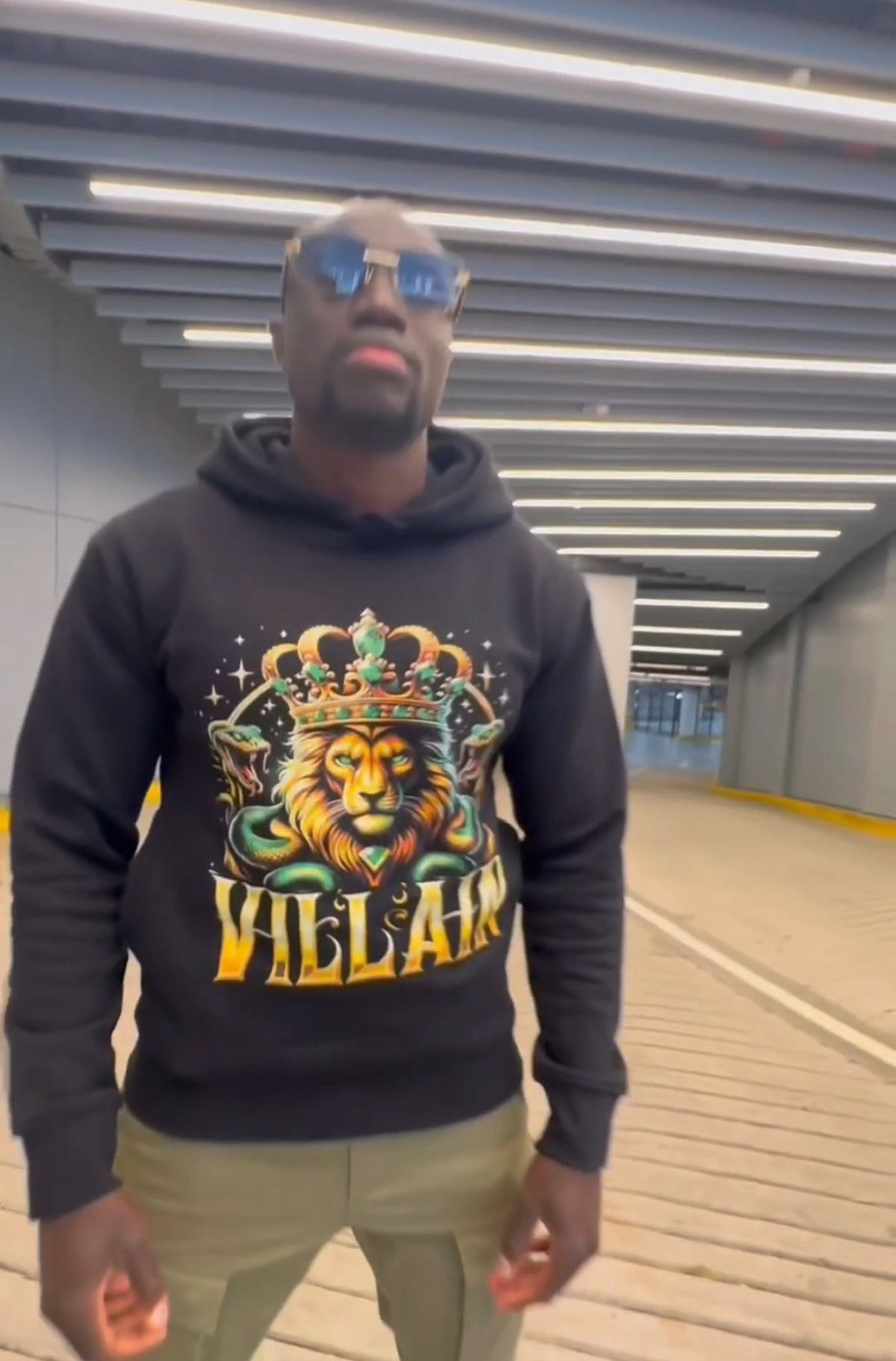 Lion & Serpent Crown Hoodie: Luxe 100% Cotton 500 GSM 