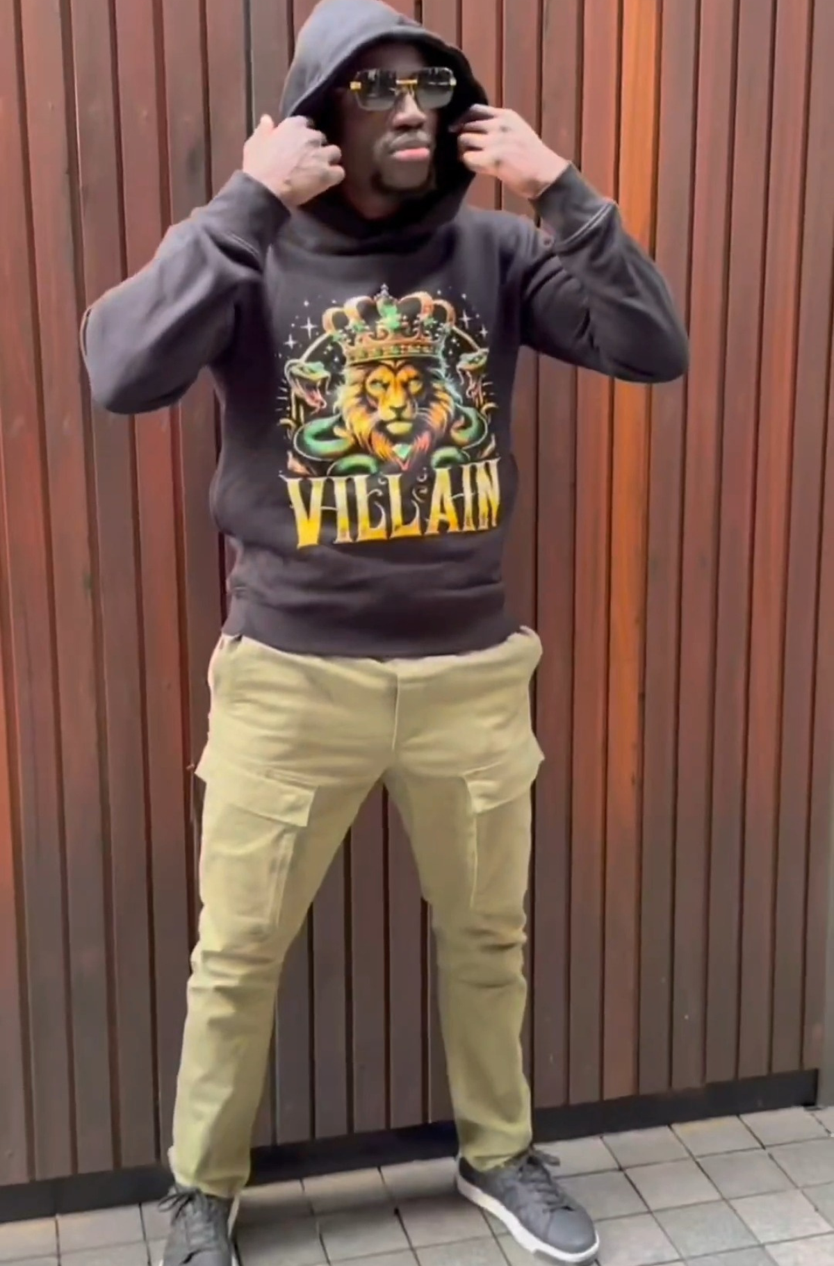 Lion & Serpent Crown Hoodie: Luxe 100% Cotton 500 GSM 